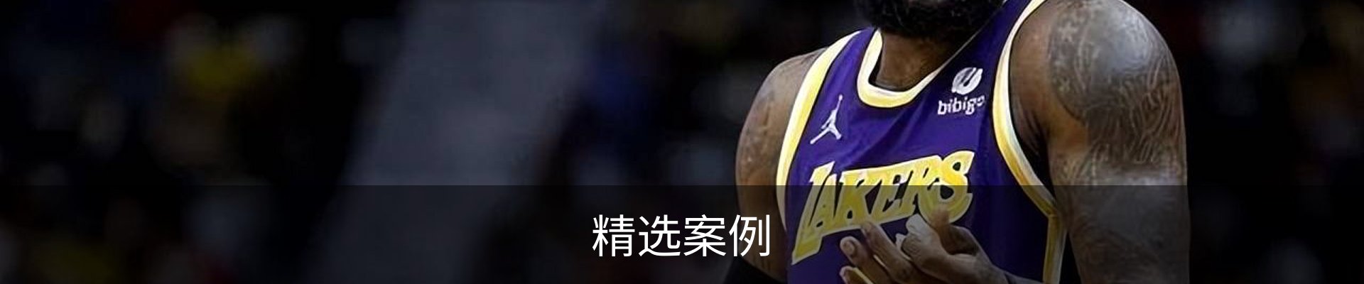 精选案例