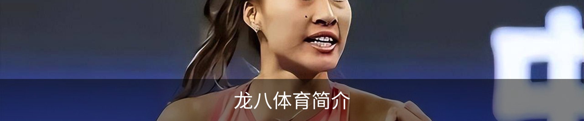 龙八体育简介